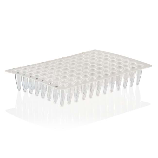 AmpliStar Rigid Frame 384-well PCR Plate, Black frame, White wells (50)